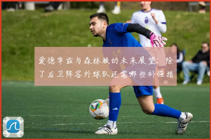 爱德华兹与森林狼的未来展望：除了后卫阵容外球队还需哪些补强措施