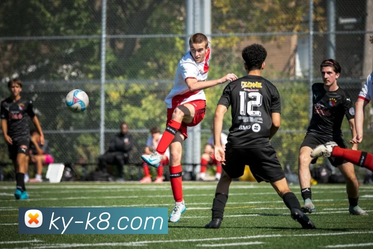 凯发娱乐APP 封面图